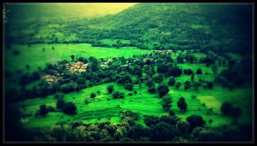 10845992 528403343960773 3779484895911645245 n